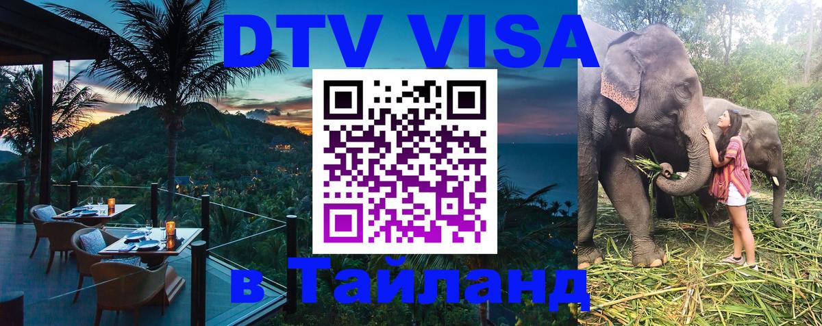 Сколько стоит DTV виза — актуальные цены, оформление даже без документов - Багдад  03.10.2025 